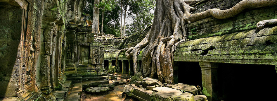 Ta Prohm Temple